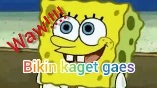 Video paling mengagetkan