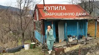 4 СОТКИ УЖАСА😩 МОЯ ДАЧА  Сидела и ПЛАКАЛА Заброшка ПОСЛЕ ЗИМЫ Купила ДЕГИДРАТОР УРОЖАЙ не пропадет