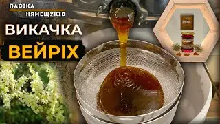 Викачка Вейріха 2024! Результат роботи бджіл. Показуємо секрети.