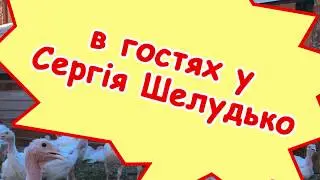 В гостях у Сергія Шелудько :) Індики БІГ-6