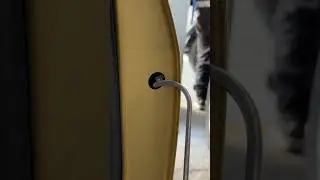 Cualquiera cree que hacer ESTO es FÁCIL