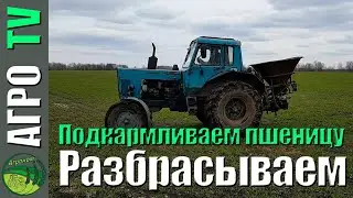 Подкормка озимой пшеницы селитрой на МТЗ-80