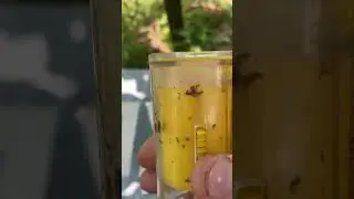 Устройство для метки матки и маркер.