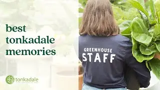 Best Tonkadale Memories