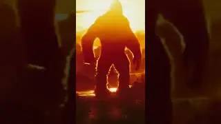 Kong since 1999 to 2021 transform
