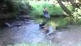 dog biting my mates feet