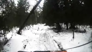 Жаворонки