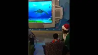Turtle Talk!