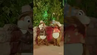 Our Characters are getting excited for Disney Jollywood Nights—over 20 of them will be present! 🎁
