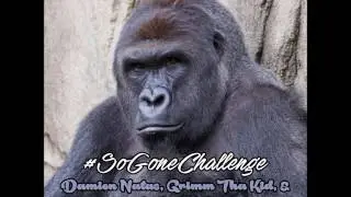 Damian Natas x Grimm Tha Kid x B.B.T.UC - #SoGoneChallenge [R.I.P Harambe]