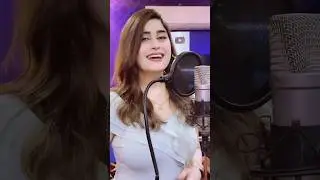Meena aur dy Zargiya 