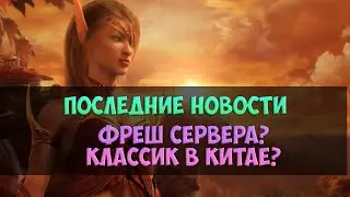 Latest news on the Warcraft universe 🟪