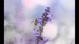 Весна 2016 песни и картинки