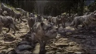 Wolves Capture a Bandit Hideout in RDR2