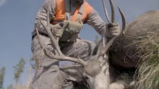 ENJOY THE CHALLENGE - Hunting Public Land Montana