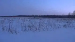 На SnowDog по снежной целине. 24.01.16.(2)