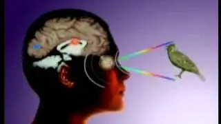The Secret Beyond Matter