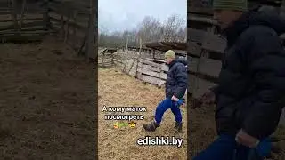 22 головы - Раз...🤠