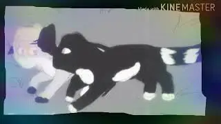 Коты воители Энки //Магнитола//(клип)