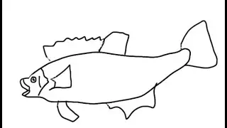 Марусяс. Marusyas. Рисуем с малышами золотого окуня (рыбу). Draw with baby fish.
