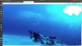 Configure Django Settings for Media - Upload and View Image Files (12/27)