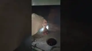 печем  в гостях хлеб