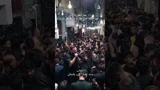 Bibi Sakina 😭😢💔 #mainsakinahun #shahidbaltistani #bibisakina #13safar #noha #Nohay2024 #arbaeen