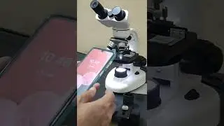 Tutorial singkat merekam pengamatan mikroskop dengan HP