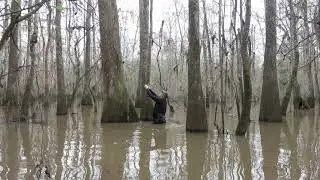 Using a Wetsuit Instead of Waders in the Swamp