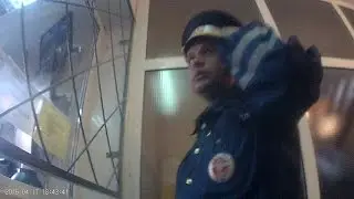 Тонировка (Дезинсекция)