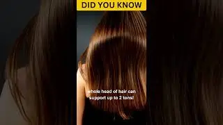 Your Hair Can Weight more then your acceptance! #fact #shortvideo