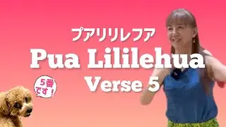 Pua Lilīlehua verse5 / Choreography by Mana 最後です！歌の解説も