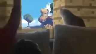Minecraft dude with cat meme