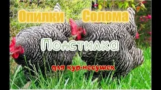 Подстилка для кур-несушек.