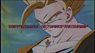 TrippyThaKid - ReturnOfTheShrimp (Prod. swvde.)