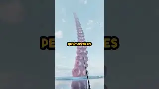 Acabaram de fazer GRAVAÇÕES do Verdadeiro KRAKEN! 🦑📹 #kraken