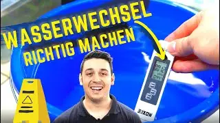 Wasserwechsel für Zwerggarnelen richtig machen - Tödliche Fehler vermeiden und Zucht verbessern!