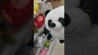 panda, oso panda