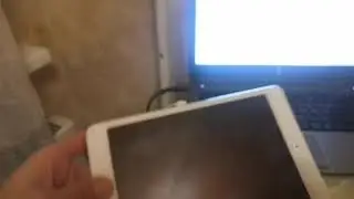 Секретные кнопки Ipad mini После замены экрана, потух но работает.