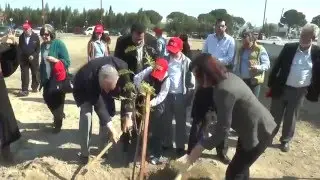 Δεντροφύτευση στο Δήμο Έγκωμης από τη Cyta