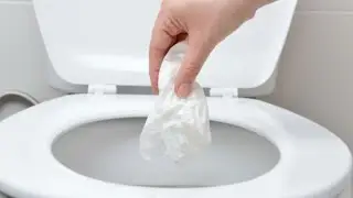 ¿Se puede tirar el papel de baño por el inodoro?