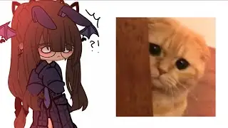 You took something precious from me… ITS OKAY I GUESS.