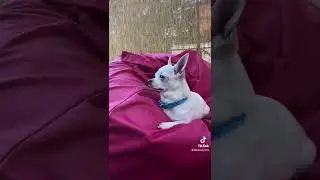 💙💛Україна 💙💛