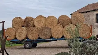 DI CHUYỂN 21 KIỆN RƠM, mỗi kiện nặng hơn 300KG