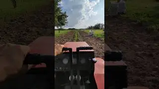 Уборка картошки началась 💪🔥👍 #гусеничныйтрактор