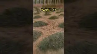 This Dunya is Not Real Wake Up 🥱🥱🥱