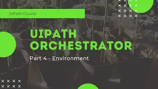 Environment - Part 4