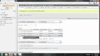 Delete Data in MySQL Database using PHPMyAdmin