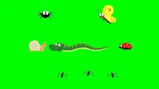 Cute insects  Spider, butterfly, snail, snake, ladybug and pond skaters on a green screen