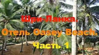 Шри-Ланка. Отель Oasey Beach. Часть 1. Sri Lanka. Oasey Beach Hotel. Part 1